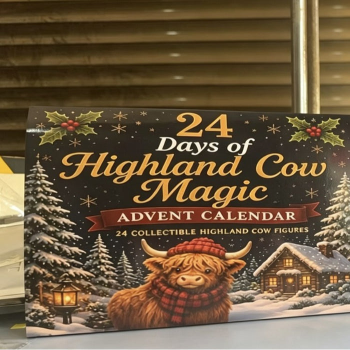 Highland cow Christmas advent calendar box in a snowy scene
